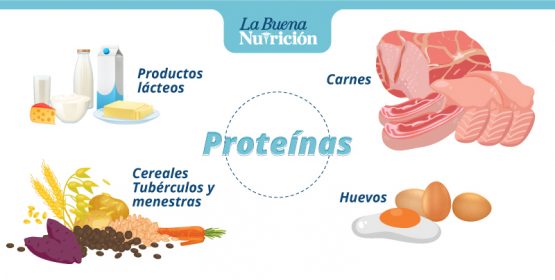 Conoce Los Alimentos Que Contienen Proteínas La Buena Nutrición 1873