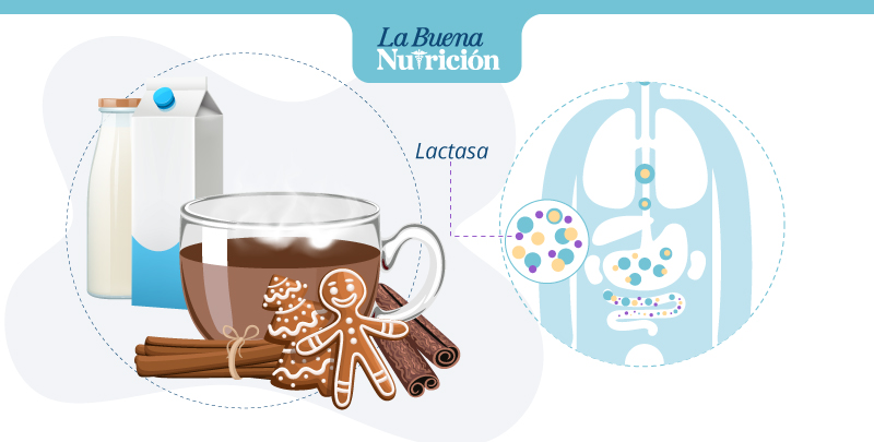 bebidas sin lactosa