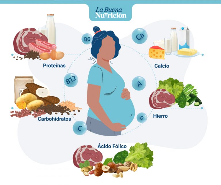 Alimentación Para Embarazadas La Buena Nutrición 8801