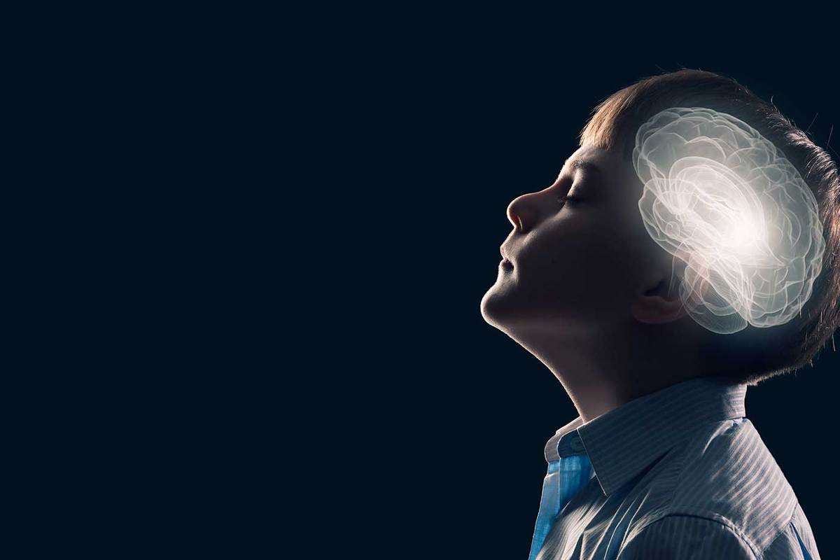 cerebro