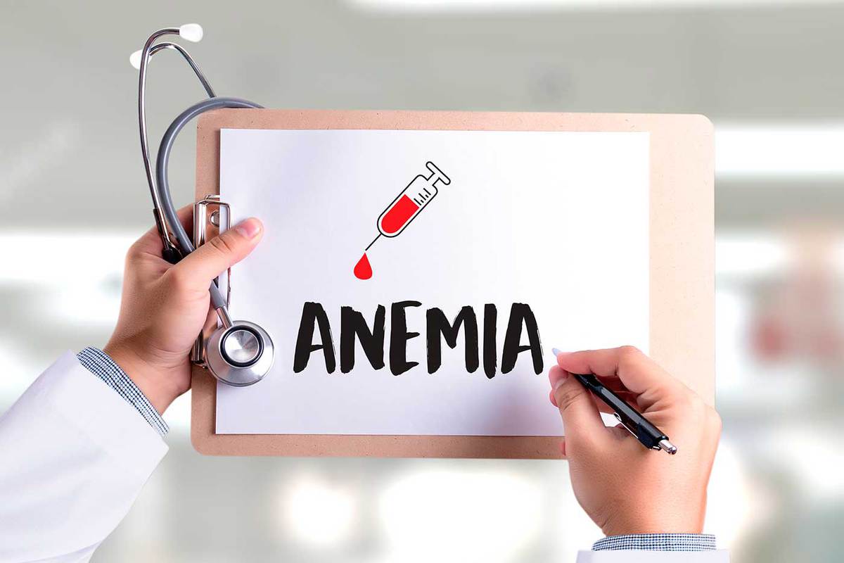 Importancia De Las Proteínas En La Anemia La Buena Nutrición