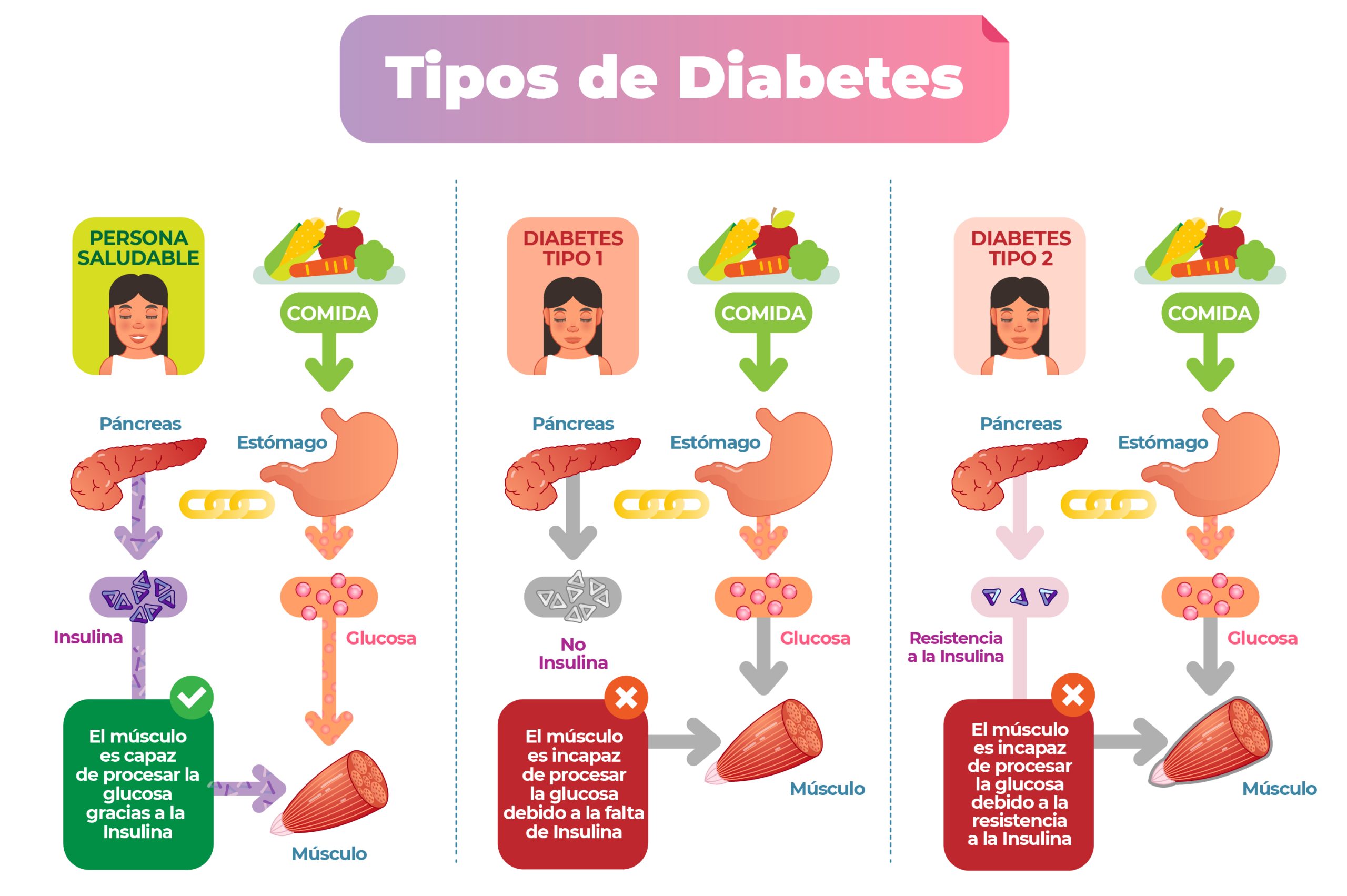 estadistica