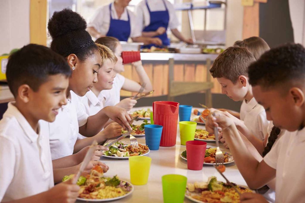 Alimentación saludable para estudiantes: loncheras y tips técnicos por etapa